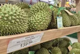 Lý do giá sầu riêng tăng 10.000 đồng/kg chỉ sau 3 ngày