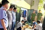 Bắt giam người thu mua lợn bệnh, cấp đông rồi bán kiếm lời