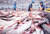 Mặt hàng tỷ đô của Việt Nam gặp ‘cơn bão kép’ tại Mỹ: Xuất khẩu tháng 8 giảm gần 55%, nguy cơ chịu ‘thuế chồng thuế’
