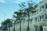 Hà Nội đề xuất chấm dứt 7 dự án chậm triển khai