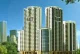 TLD sắp phát hành gần 3,9 triệu cổ phiếu trả cổ tức