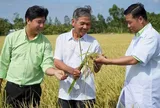 Hàng tồn kho của PAN vượt 4.300 tỷ đồng