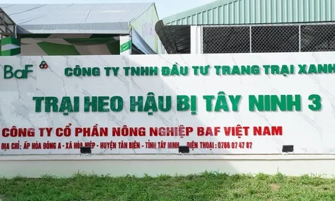 BAF tiếp tục thâu tóm công ty trong lĩnh vực chăn nuôi