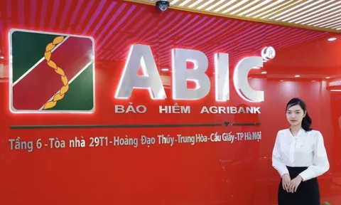 Cổ đông ABIC sắp nhận "quà" Giáng sinh