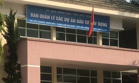 Phó giám đốc xin nghỉ việc sau khi bị phát hiện dùng bằng đại học không hợp pháp