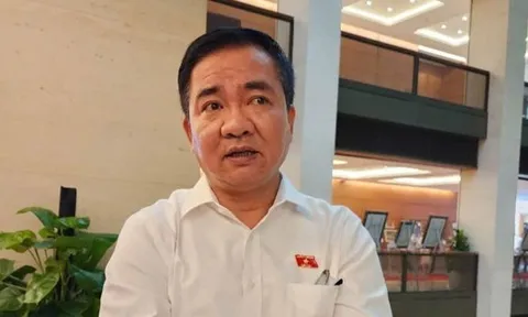 Đại biểu Quốc hội: Ngoài yếu tố pháp luật, người nổi tiếng càng phải giữ liêm sỉ