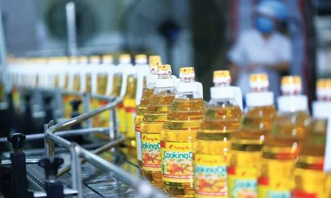Nợ vay của Vocarimex tăng đột biến