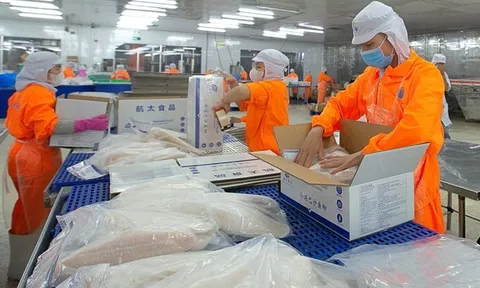 Phó Tổng Giám đốc Nam Việt muốn bán cổ phiếu