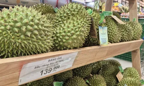 Lý do giá sầu riêng tăng 10.000 đồng/kg chỉ sau 3 ngày