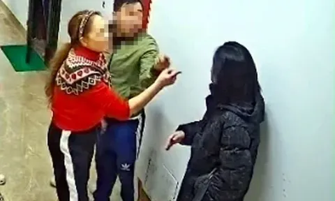 Triệu tập người phụ nữ hành hung hàng xóm tại chung cư ở Hà Nội