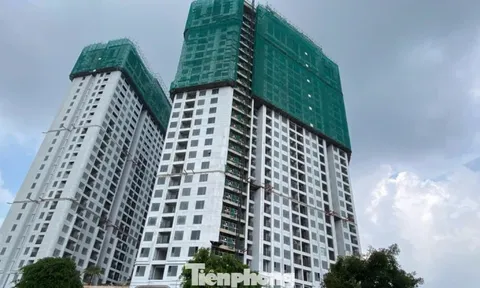 Phân khúc trụ cột của thị trường bất động sản 2026