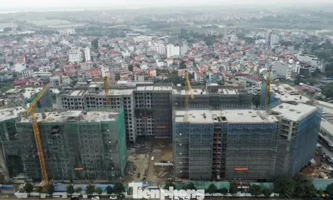 Người mua nhà ở xã hội có được nộp hồ sơ nhiều dự án?