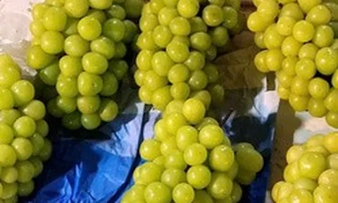 Việt Nam chi hàng trăm triệu USD nhập khẩu nho tươi Trung Quốc