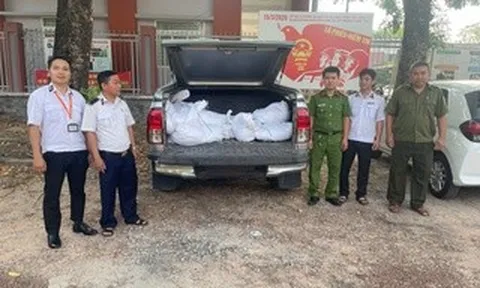 Bất ngờ khi mở các bao tải trên chiếc xe bán tải đang lưu thông trên địa bàn TPHCM