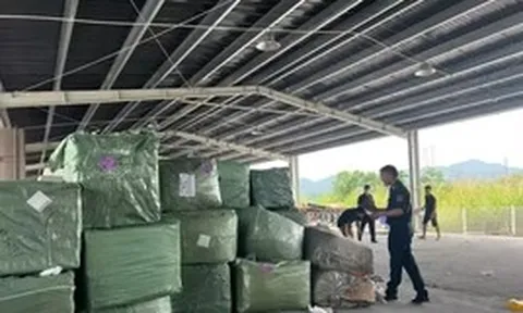 Bắt giữ 4 container hàng giả thương hiệu Louis Vuitton, Rolex, Chanel