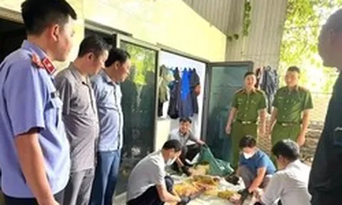 Bắt giam người thu mua lợn bệnh, cấp đông rồi bán kiếm lời
