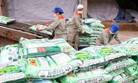 Supe Lâm Thao báo lãi quý II giảm gần 87%