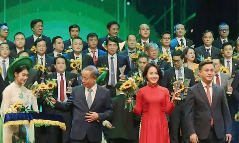 Điện Quang đạt danh hiệu “Thương hiệu quốc gia 2024”