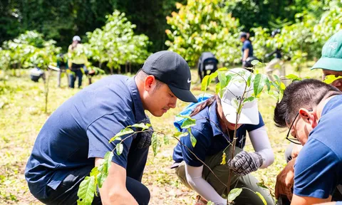 Vietcap tiếp tục trao tặng 8.000 cây, thành công khép lại Go Green Go Up mùa 2