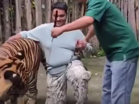 Hổ tấn công du khách, làm dấy lên tranh luận gay gắt trên mạng xã hội