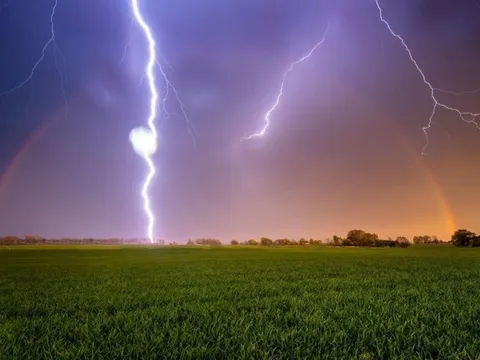 Đang làm việc trên đồng, hai anh em bị sét đánh tử vong