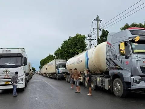 Chuyện gì đang xảy ra với việc kiểm nghiệm sầu riêng?