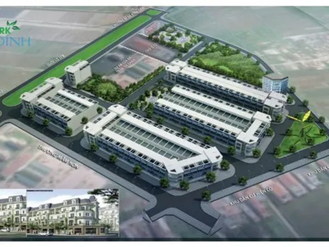 Nợ thuế gần 470 tỷ đồng, Ánh Dương AD - HD vẫn tăng vốn gấp 2,7 lần