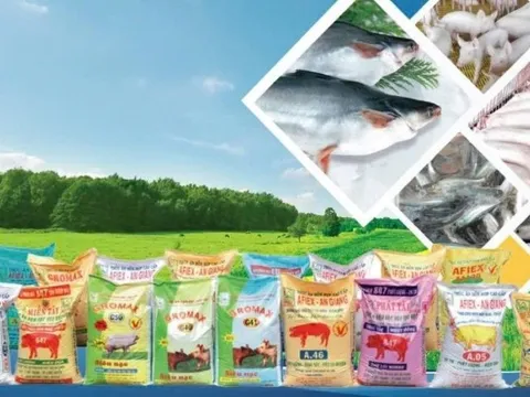 Động thái mới của ông lớn xuất khẩu gạo An Giang