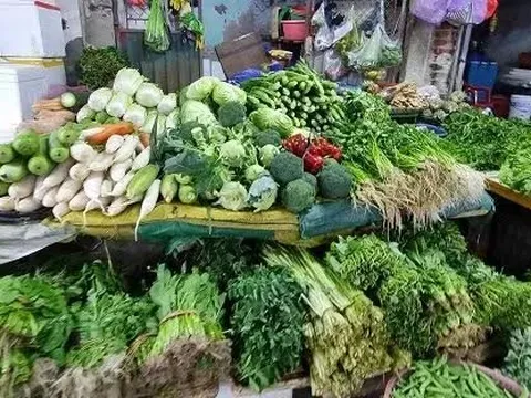 Giá rau xanh hạ nhiệt