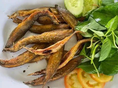 Loại cá được ví như "nhân sâm dưới nước", xuất hiện trong nhiều bài thuốc Đông y