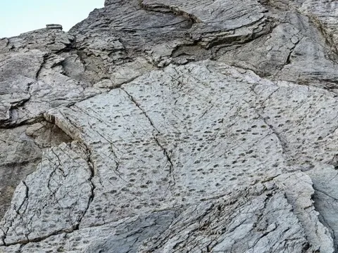 Kinh ngạc với những dấu chân trên vách đá dựng đứng