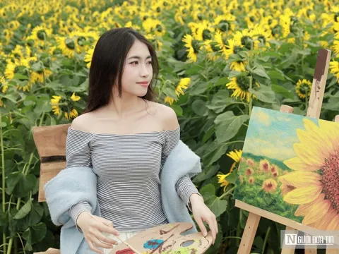 Giới trẻ đổ xô check-in cánh đồng hoa hướng dương đẹp như tranh ở xứ Nghệ