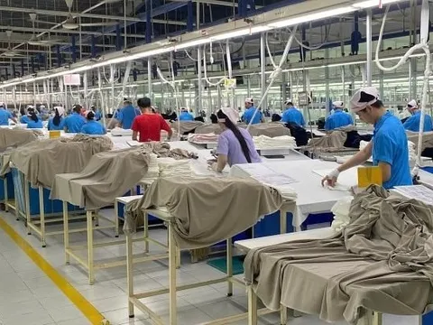 Tin vui: 7 DN ở TP HCM tiếp nhận hơn 2.700 công nhân mất việc trước Tết từ công ty Hàn Quốc