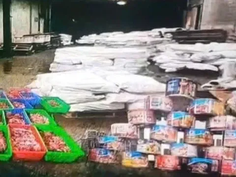 Khởi tố 9 bị can trong vụ tiêu thụ 130 tấn thịt lợn nhiễm dịch tả