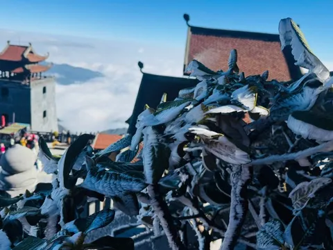 Sáng nay đỉnh Fansipan xuất hiện băng tuyết