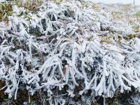 Tin gió mùa đông bắc mới nhất: Bao giờ miền Bắc chuyển mưa rét đến 6 độ C?