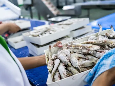 Một ngành hàng của Việt Nam được cả thế giới săn đón - xuất khẩu đạt 874 triệu USD tháng đầu năm, tăng trưởng 13%