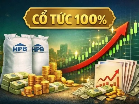 Một doanh nghiệp chia cổ tức tiền mặt 100%, cổ phiếu lập đỉnh lịch sử