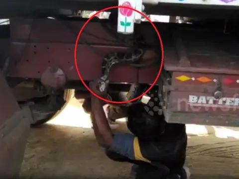 Nhìn xuống gầm xe, người đàn ông bủn rủn chân tay phát hiện cảnh tượng "nổi da gà"