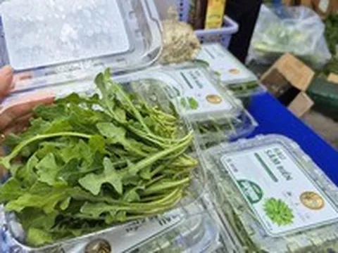 Bất ngờ về loại rau 350.000 đồng/kg vẫn được người ở TP.HCM xem là “rẻ”