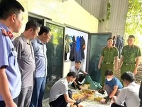Bắt giam người thu mua lợn bệnh, cấp đông rồi bán kiếm lời