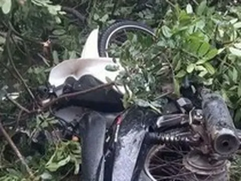 Cây xanh gãy đổ, đè tử vong nam thanh niên đi xe máy ở Đắk Lắk