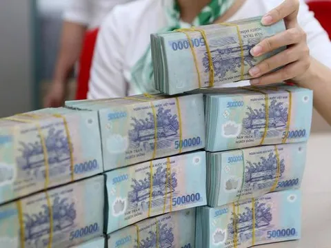 Sonadezi sắp chi hơn 542 tỷ đồng trả cổ tức tiền mặt năm 2025