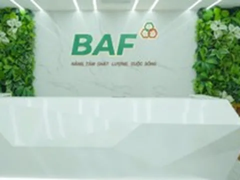 BAF Việt Nam bổ nhiệm Phó Tổng Giám đốc