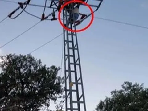 Trèo lên cột điện chụp ảnh, bé gái 12 tuổi bị điện giật nguy kịch