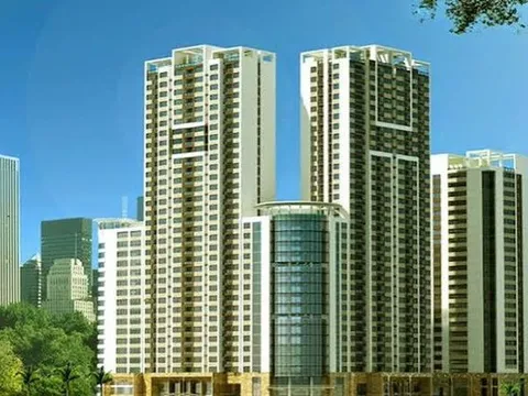 TLD sắp phát hành gần 3,9 triệu cổ phiếu trả cổ tức