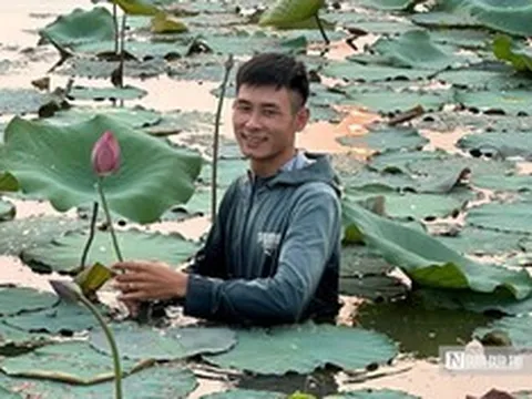 Quả ngọt bất ngờ cho chàng trai quyết “đổi đời” vùng đất ruộng trũng