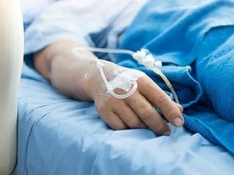 Đang hái chè, người phụ nữ bị con vật màu trắng cắn nguy kịch