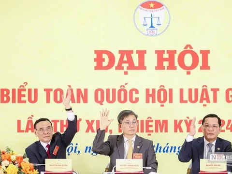 Xây dựng đội ngũ luật gia "bản lĩnh, trí tuệ, trách nhiệm" đáp ứng yêu cầu phát triển đất nước