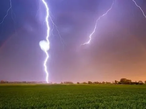 Đang gặt lúa, 4 người bị sét đánh nguy kịch
